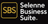 Selenne Business Suite